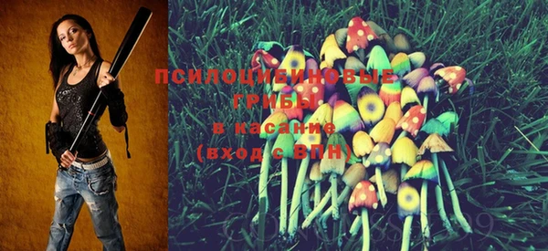 PSILOCYBIN Горняк