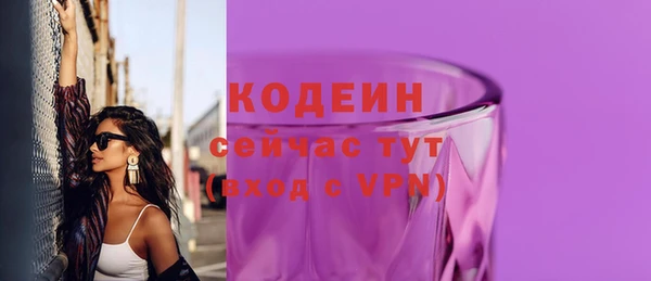 PSILOCYBIN Горняк