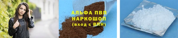 PSILOCYBIN Горняк